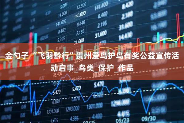 金勺子 “飞羽黔行”贵州爱鸟护鸟有奖公益宣传活动启事_鸟类_保护_作品