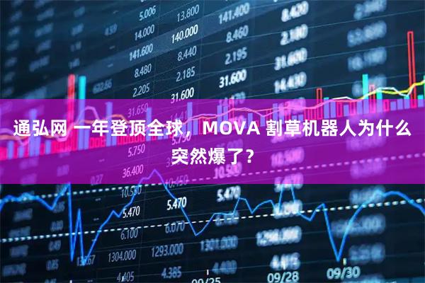 通弘网 一年登顶全球，MOVA 割草机器人为什么突然爆了？